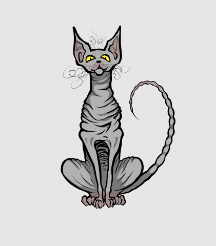 Кот сфинкс