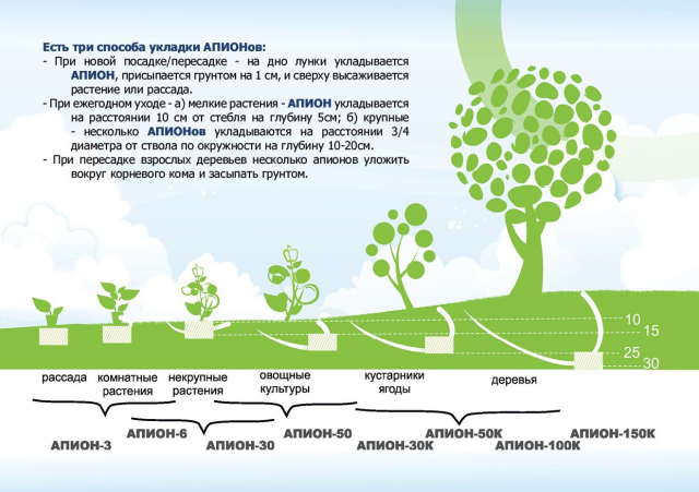 Оборотная торона листовки Апион