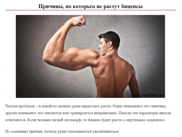 Упражнения на бицепс в тренажерном зале