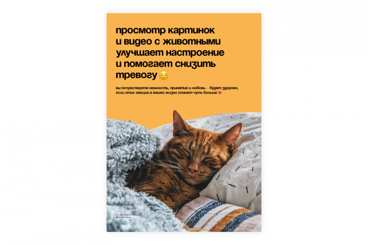 Плакат на тему радостей жизни