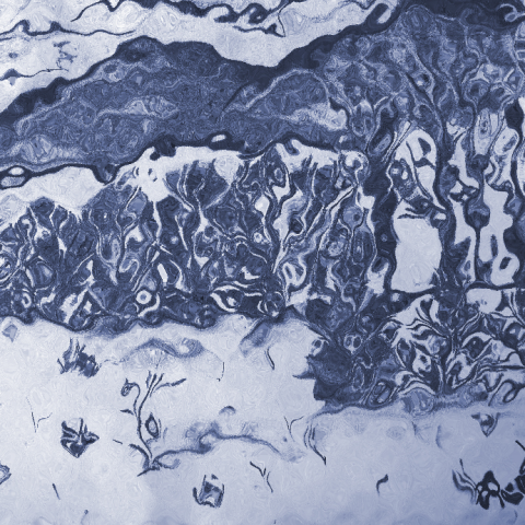 Работа 4069532