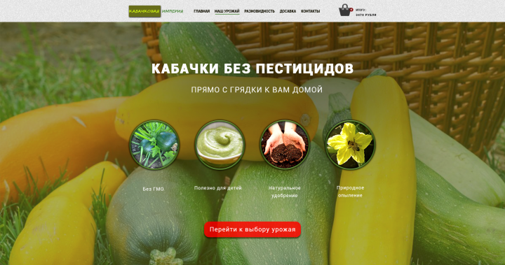 Работа 3511601