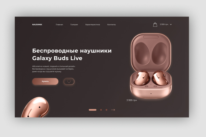 Дизайн Landing Page для сайта  NAUSHNIK