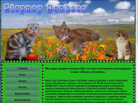 Питомник шотландских кошек Stepnoy Dondass
