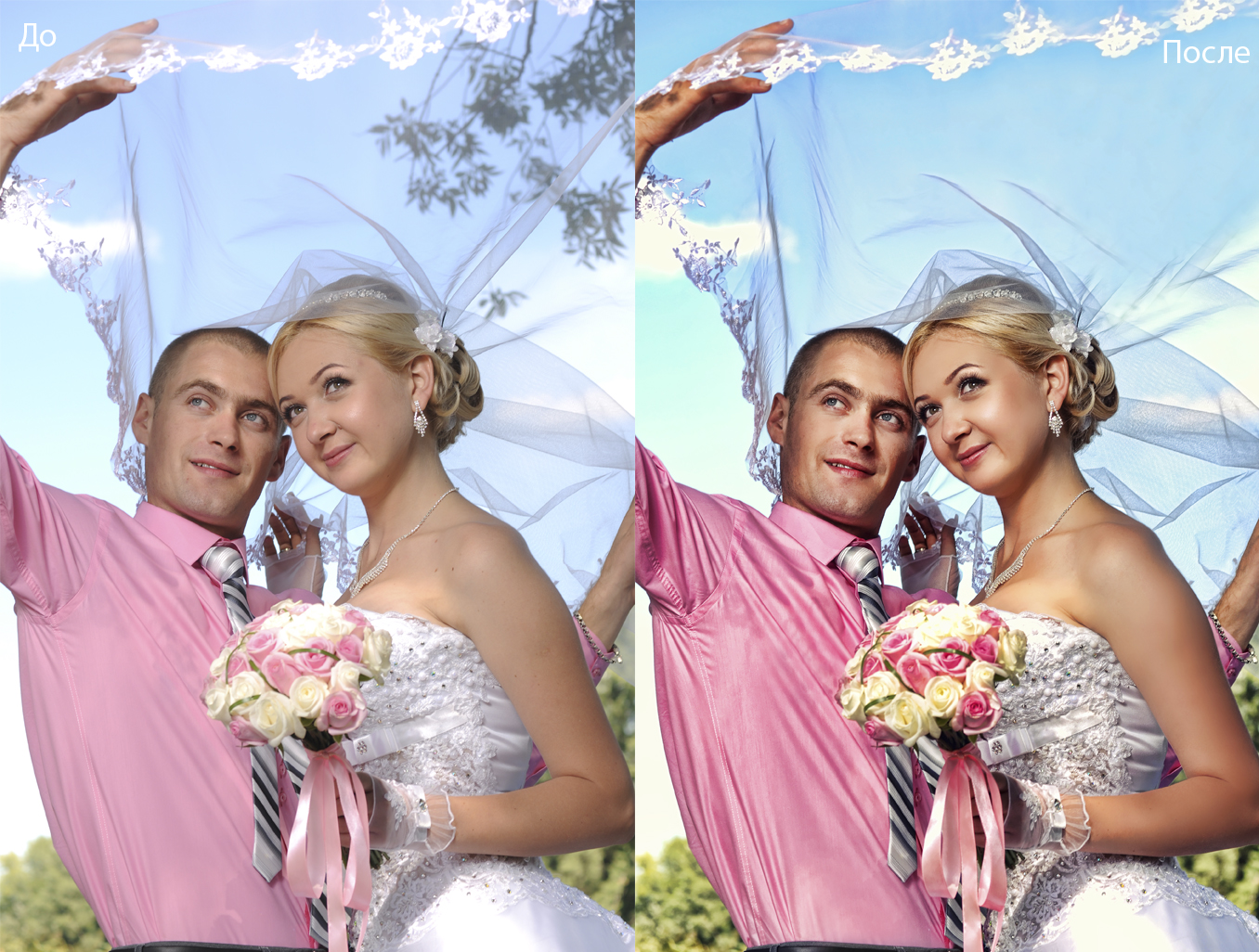 pic1581998.jpg