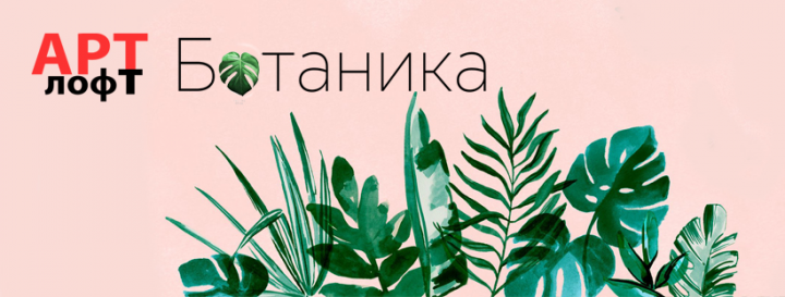 Шапка профиля
