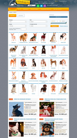 Сайт продажи щенков 101dog