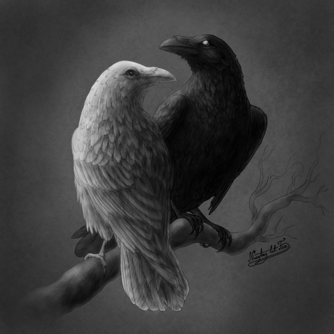 9