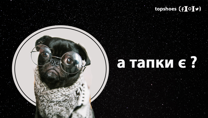 Tapki.com
