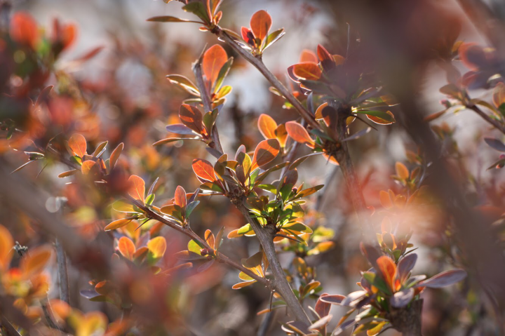 Работа 4043640