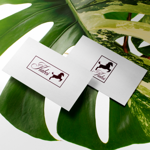 Логотип для компании - "KABOS"