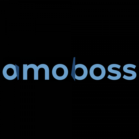 Логотип для компании - "amoboss"