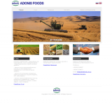 Cайт визитка компании занимающей поставками