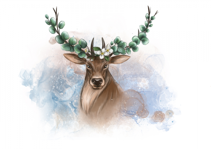 Олень и эвкалипт