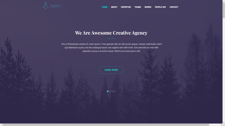 Адаптивная вёрстка landing-page "Tajam"