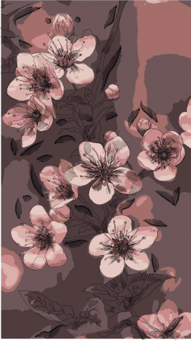 Цветущая сакура