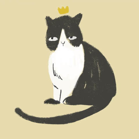 illustration