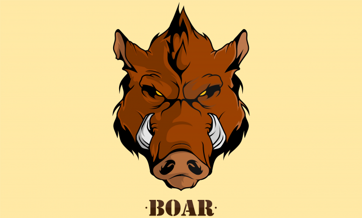 Векторная графика