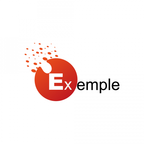 Exemple