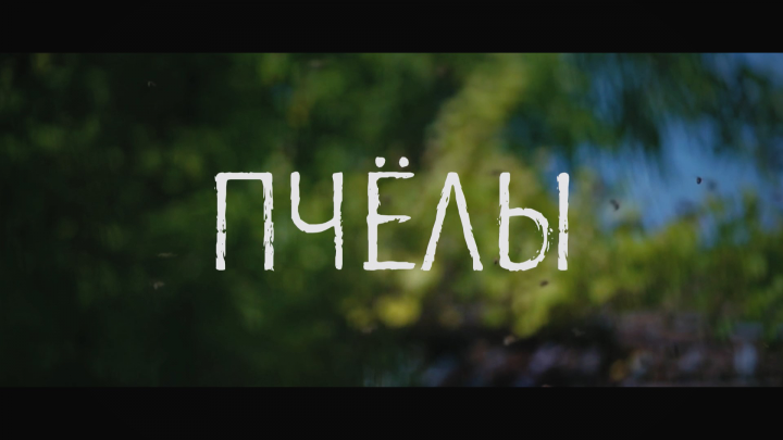 Мини-фильм "Пчелы"