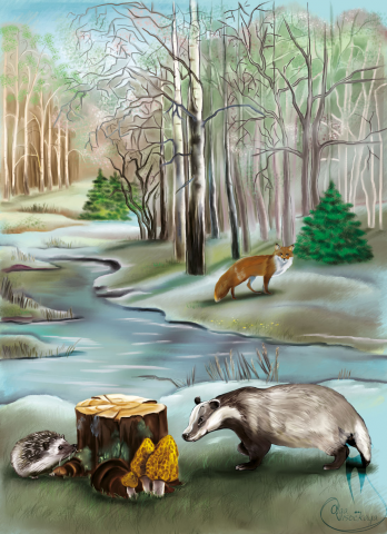 Костромские сказки