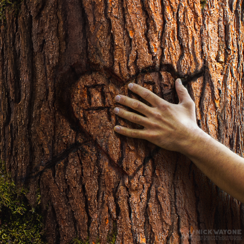 Обложка для трека