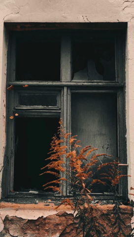 окно