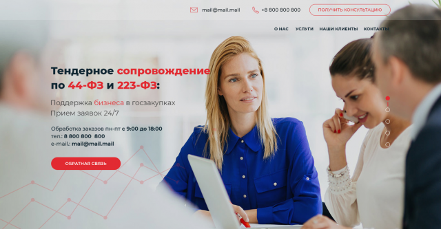 Сайт организации по поддержке бизнеса в госзакупках