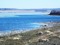 Кундравы