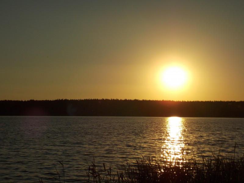 pic2359330.jpg