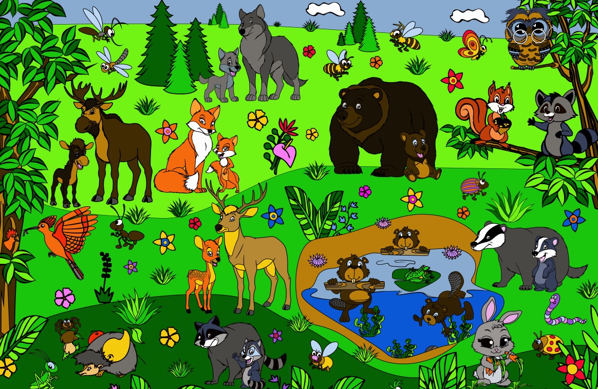 pic4270061.jpg
