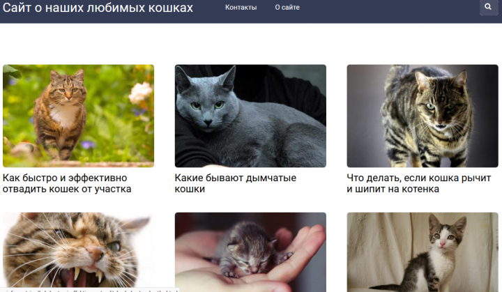 Сайт о кошках