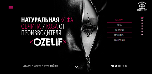 Корпоративный сайт для компании OZELIF