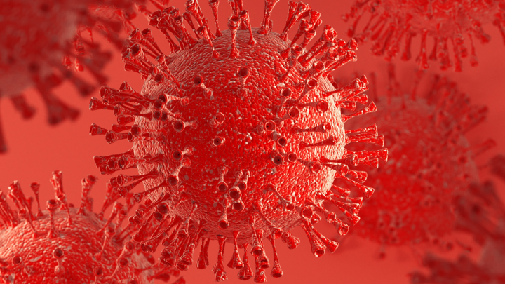 virus
