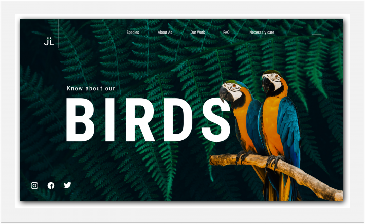 Landing Birds