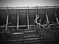 Работа 3032838