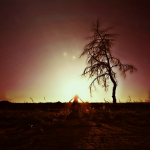 Работа 3032835