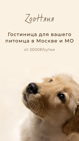 рекламный баннер