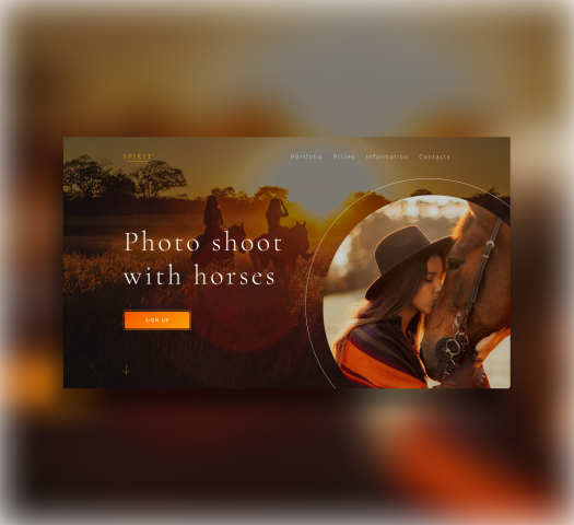 Фотосессия с лошадьми