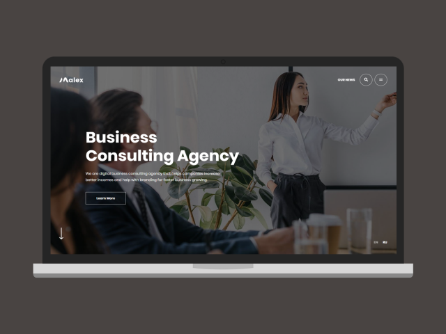 Разработка сайта "Malex"