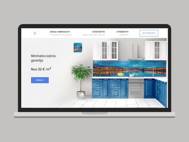 Разработка сайта "Skinali"