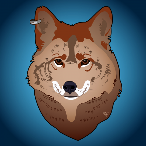 Red Wolf в Illustrator
