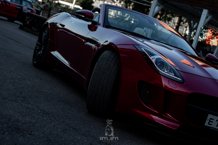 Jaguar