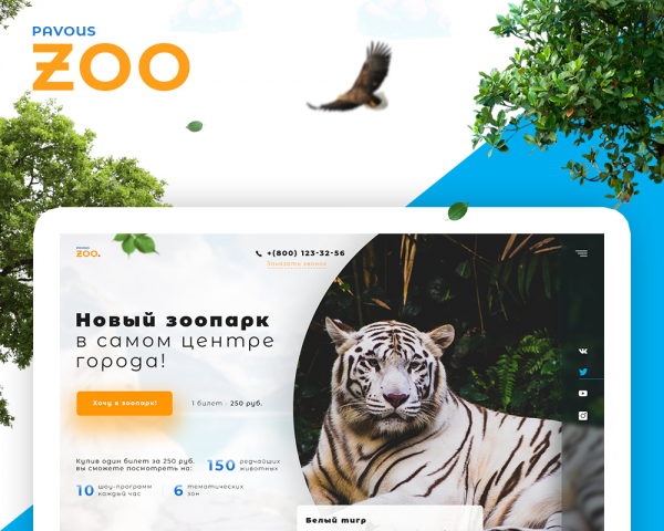 Pavous Zoo