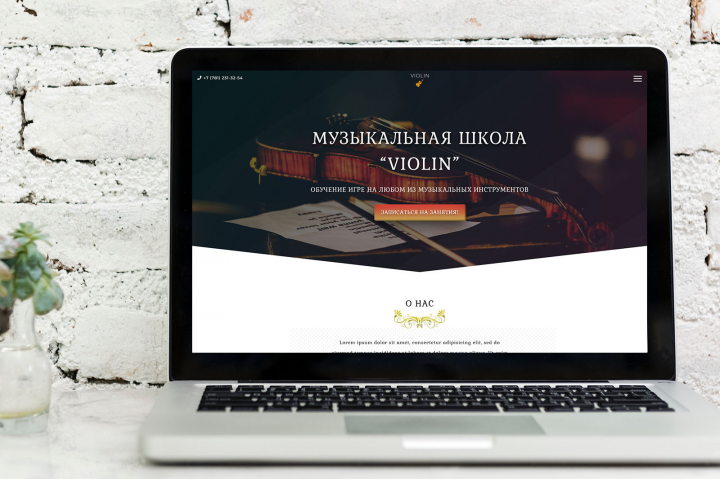 Violin