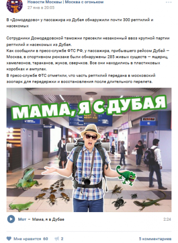 Контент-менеджмент. SMM.