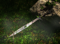 Потерянное оружие