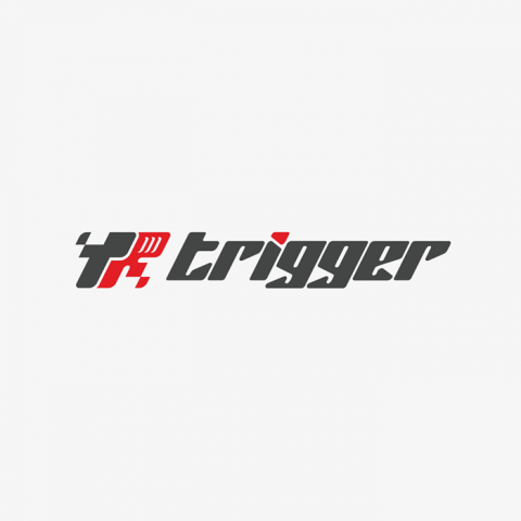 TRIGGER
