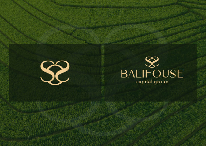 Разработка логотипа