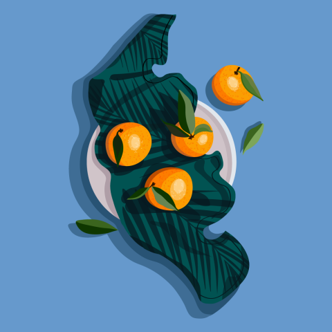 Иллюстрации